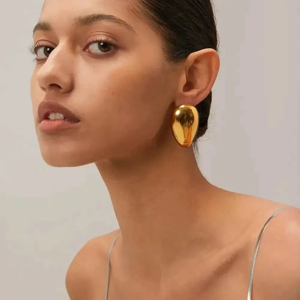 Elegant Teardrop Shape Earrings