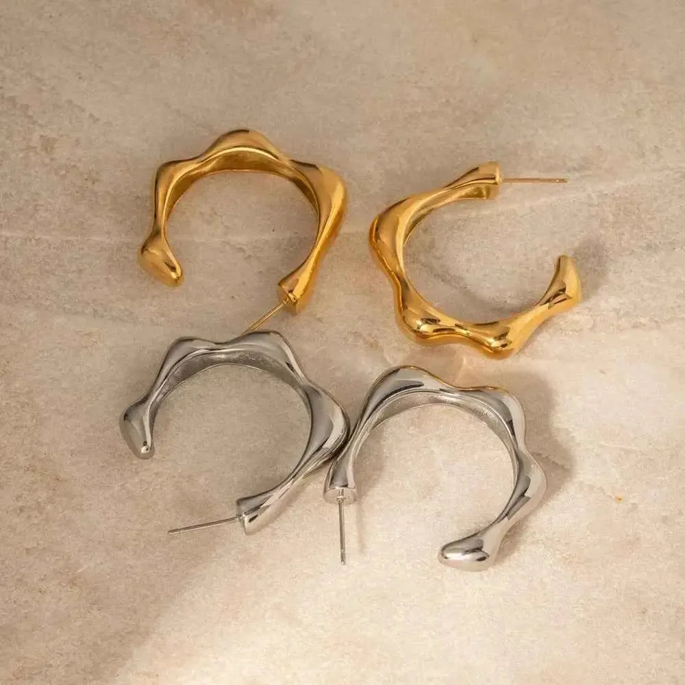 Modern Stainless Curve Earrings