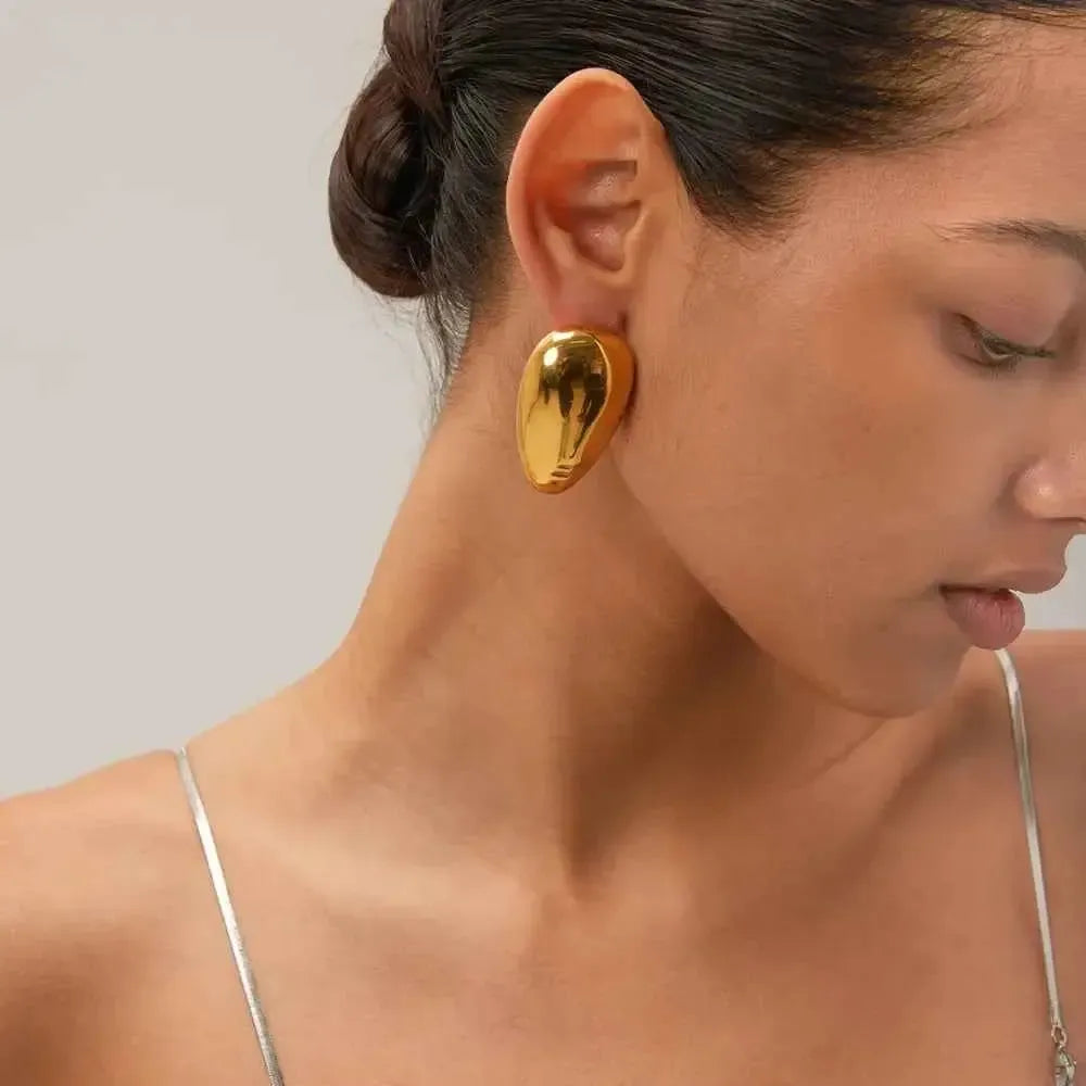 Elegant Teardrop Shape Earrings
