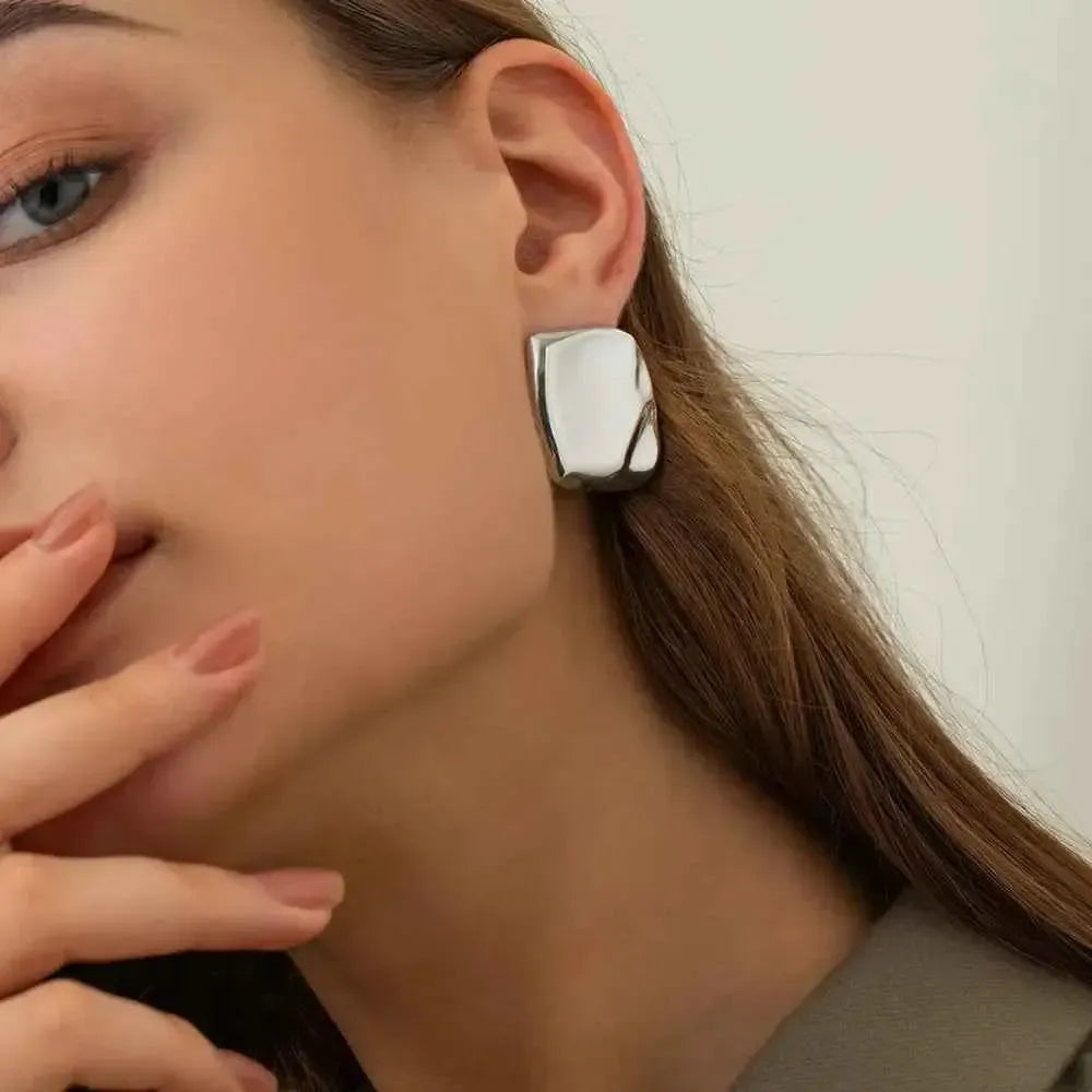 Sleek Stainless Steel Studs