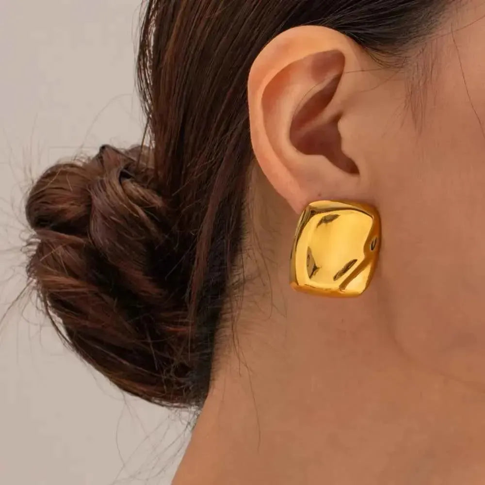 Sleek Stainless Steel Studs