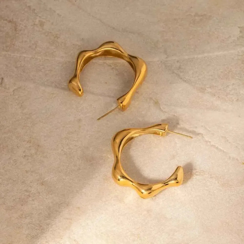 Modern Stainless Curve Earrings