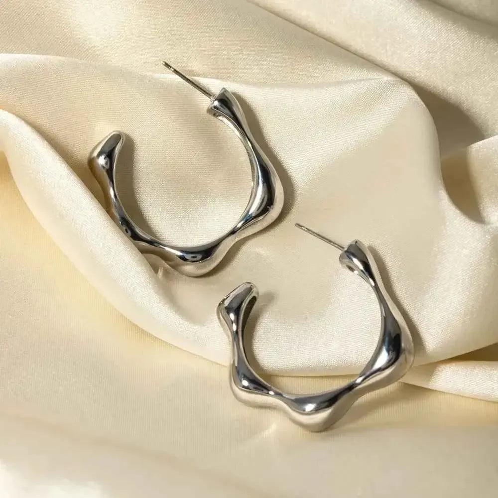 Modern Stainless Curve Earrings