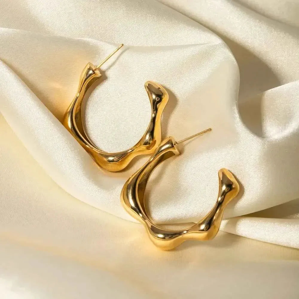Modern Stainless Curve Earrings